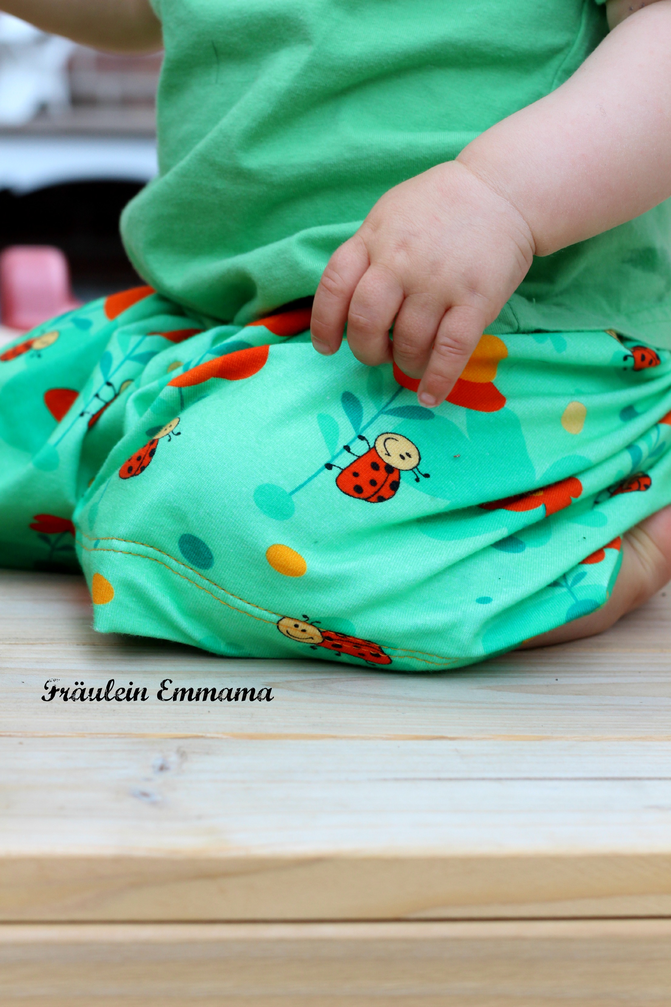 Marienkäfer  IMG_9296