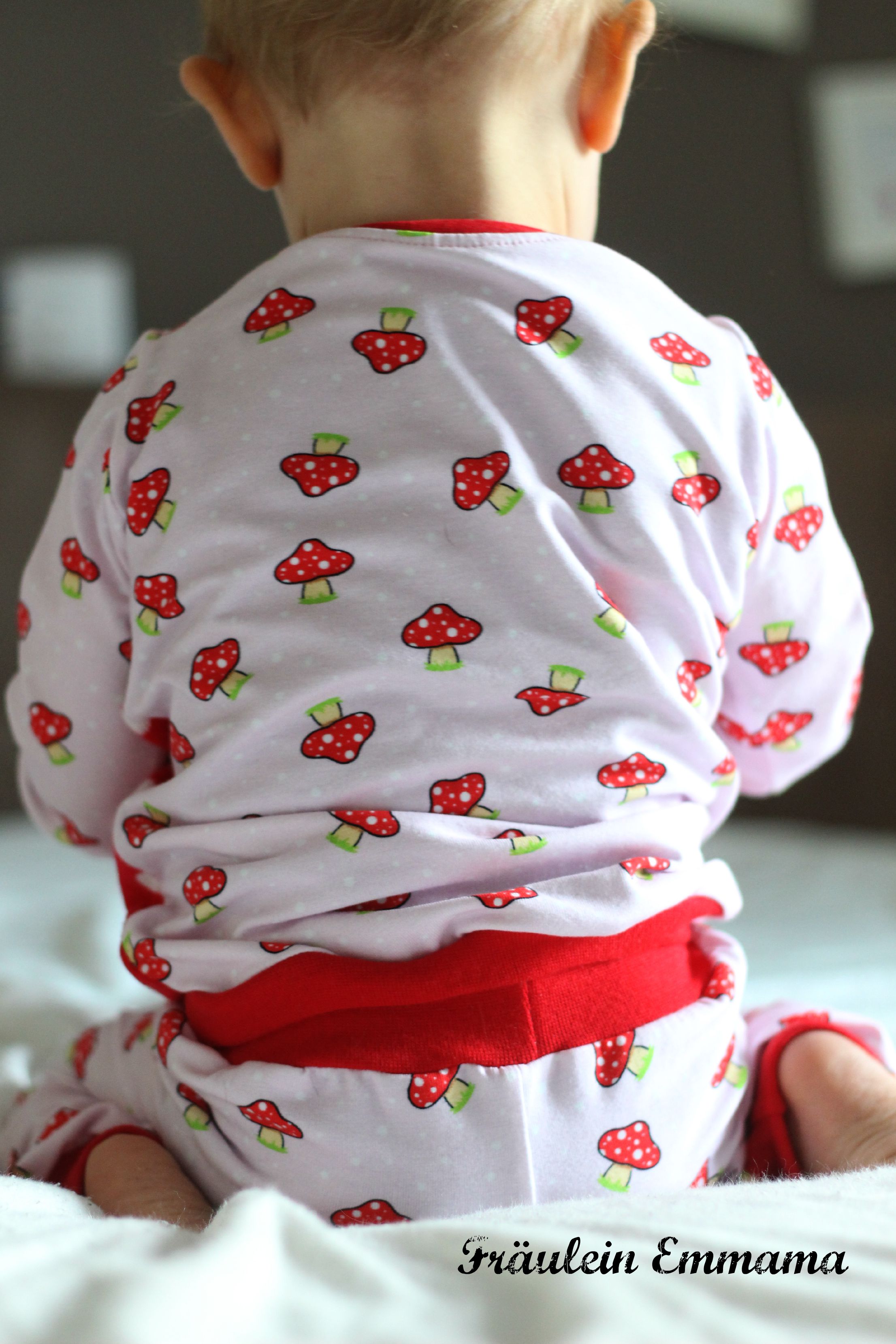 Pilzgestöber IMG_2118