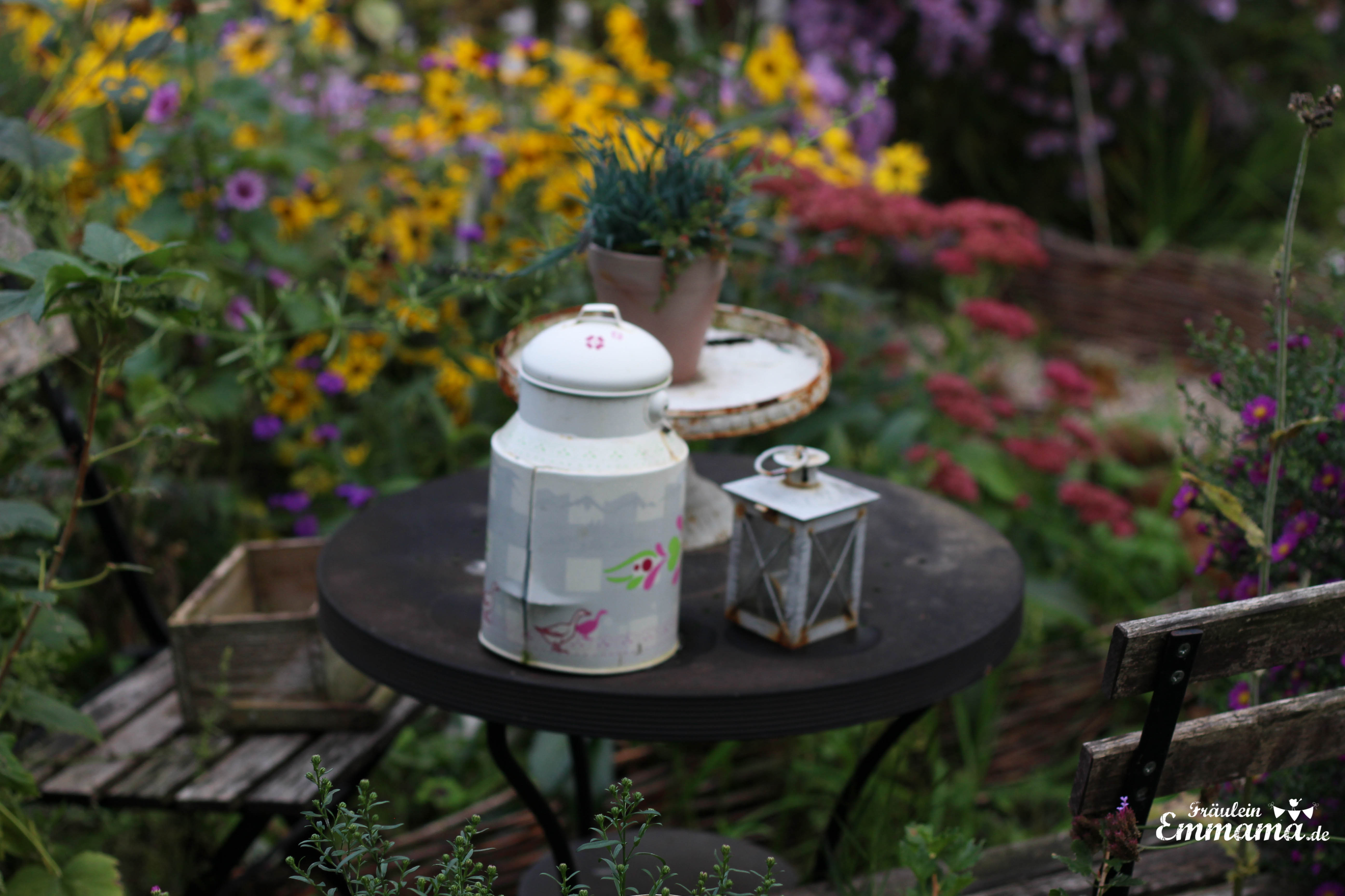 Bilder bearbeitet -9950