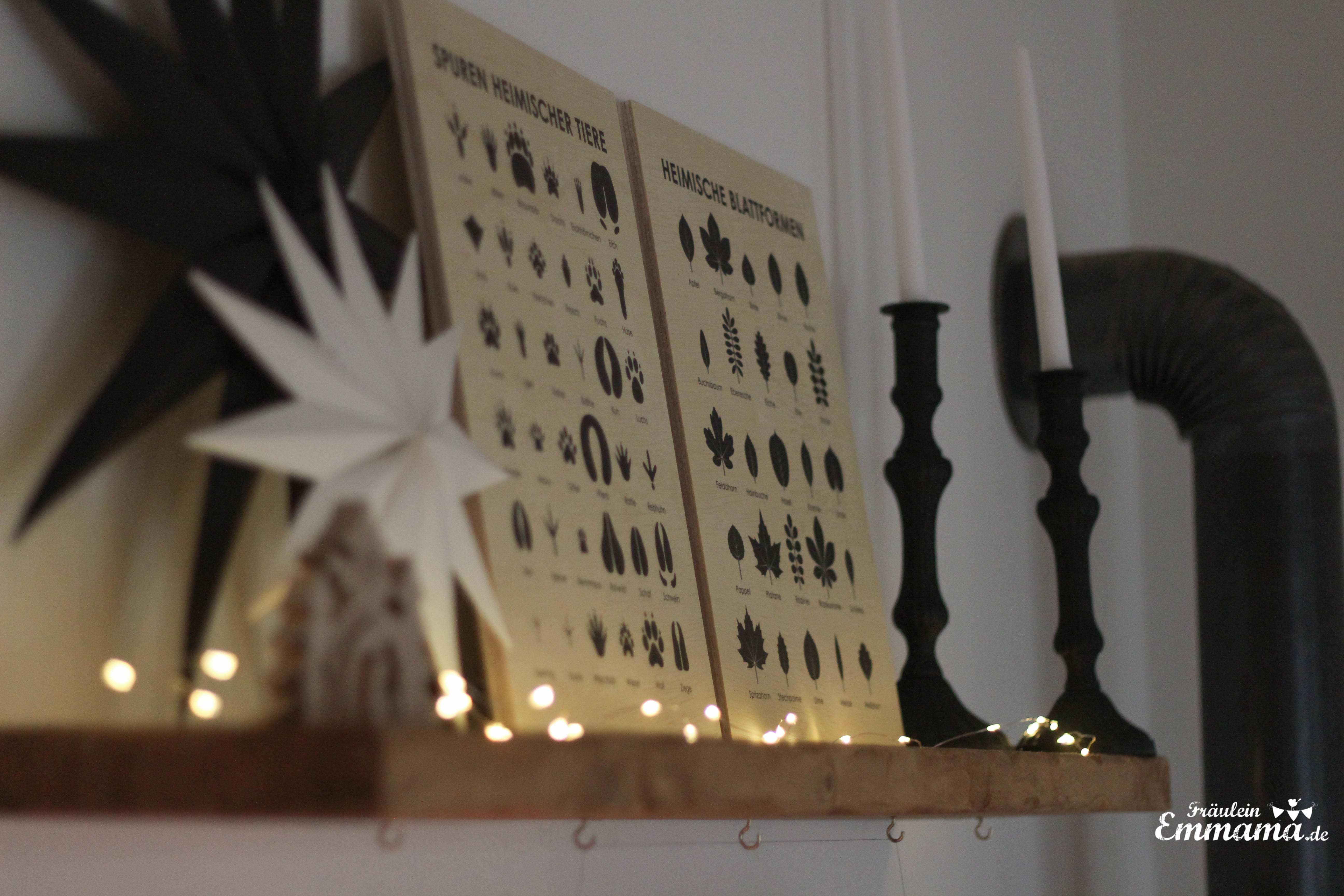 Bilder bearbeitet -0220